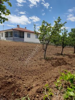 Eskiekinde Lozanevlerine 3 Km Mesafede Satılık Hobi Bahçeis