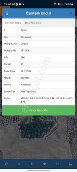 Yenipazar- Direcik Yolu Üzerinde 10.500 M2 Satılık Zeytinlik