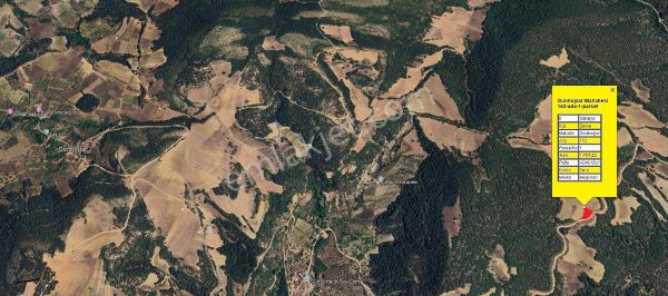 Geyve Günhoşlar 87m Yola Cepheli Müstakil Tarla