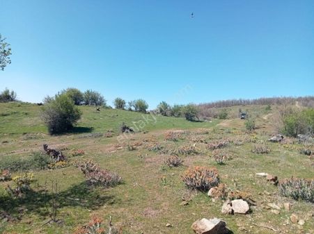 Sultanhisar Merkezde İmarlı Arsa