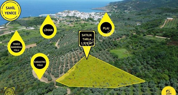 🟨⬛ Bandırma Sahil Yenice'de Deniz Manzaralı Satılık 1.970m² Tarla Lion Emlak'tan⬛🟨