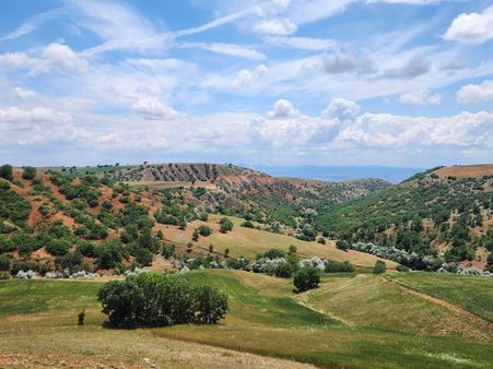 Kırıkkale Delice Derekışla Mah. 948 M2 Bağ 115 Bin Telefon Parası