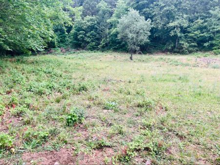 Orman Dere Oksijen Bir Arada Olan Tarla