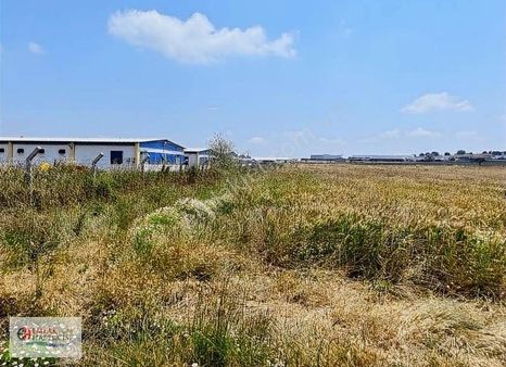 19 Dnm. Çiftlik İşletmelerinin Sınırında Yatırımlık Fırsat Arazi