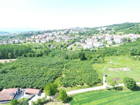 Düzcede Yatırımlık Mücavir Alanda 5460m2 Satılık Fındık Bahçesi!