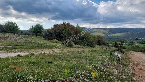 Akkaya Mah Satılık Yol Cepheli Tarla