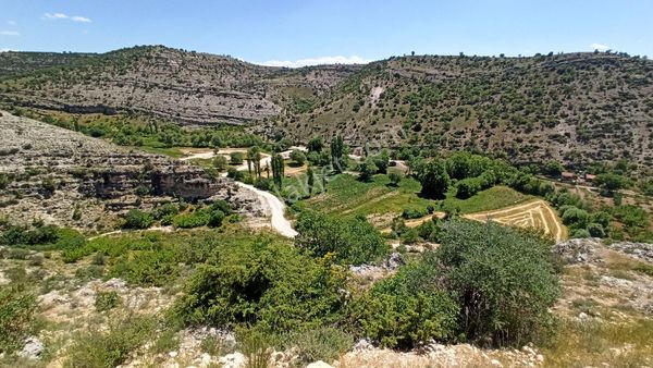 Uşak Karahallı Alfaklar Köyünde Doğa İle İç İçe Resmi Yola Sıfır Olan Satılık 235m2 Hobilik Bahce