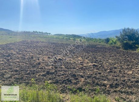 Bukent Emlaktan Geyve-doğantepe Satılık Tarla