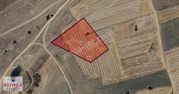 Remax Select'ten Hasköy'de 6 Dönüm Tarla!