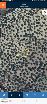 Arslan Emlaktan Zeytinlik