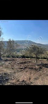 İzmir Aliağa Barbaros Hayrettin Paşa Mah,si 933m²satılık Tarla