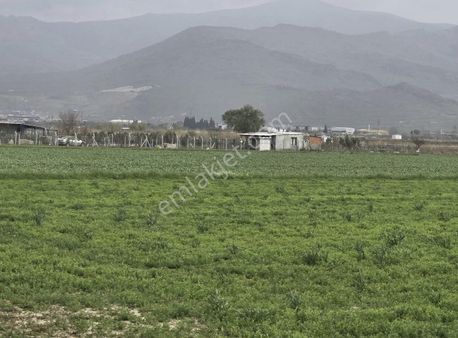 İzmir Menemen Türkelli Yıldırım Mh Sinde 587m²satılık Tarla