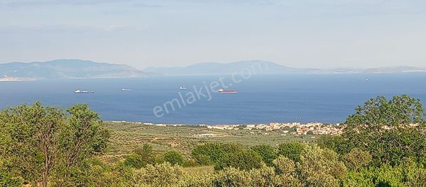 Bilge Emlak'tan 27 Full Panoramik Deniz Manzaralı Kadastro Yol Cepheli Tarla