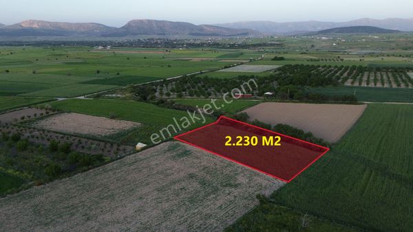 Korkuteli Yeltende Satılık 2.230 M2 Sulak Tarla Satılıktır Pazarlık Mevcut