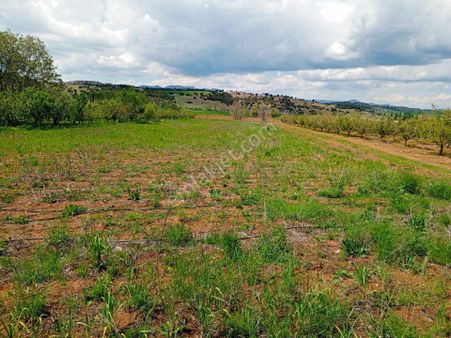 Akdeniz Emlakta Seydikemer Y.zorlar Mh.satılık Tarla