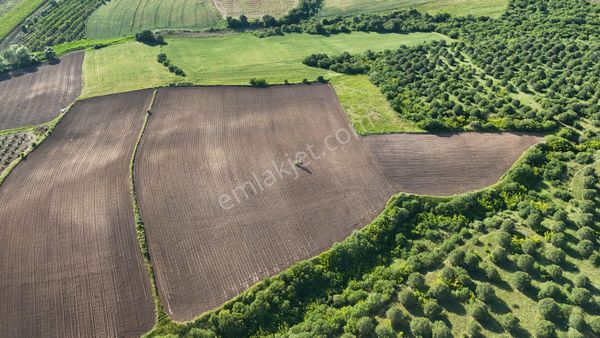 🟢 Bandırma Yeni Ziraatli’de Yatırıma Uygun 20.950 M² Tarla!