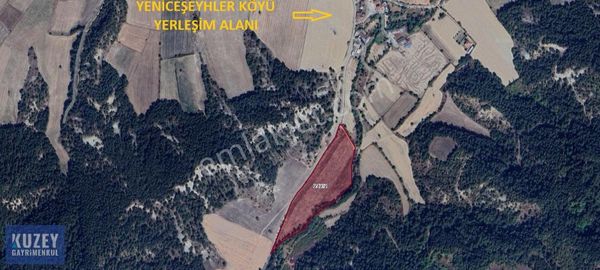 Bolu Mudurnu Yeniceşeyhler Yol Kenarında Satılık Arazi