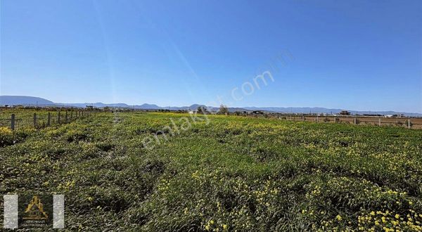Menderes Tekelide Satılık 4105 M² Tarla