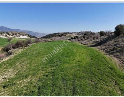 Sarayköy Yeşilyurtta30