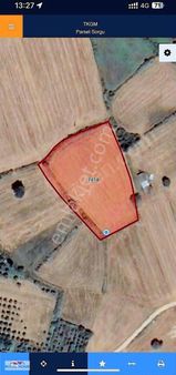 Karacabey Canbaz Da Köy Yerleşik Alanına Sınır Düz Tarla Fırsat