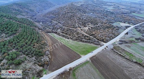Hürriyet Köy Konut Alanı Arkası Asfalta Cephe Satılık Düz Yer