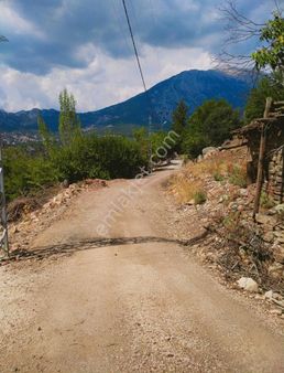 Yok Böyle Küçük Parsel