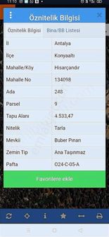 Sedir Ağaçlarının Gölgesinde