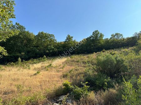 Sahibindensatilik Hisarderede 1950 Mt Resmiyollu Köyundibinde Çokhesapli