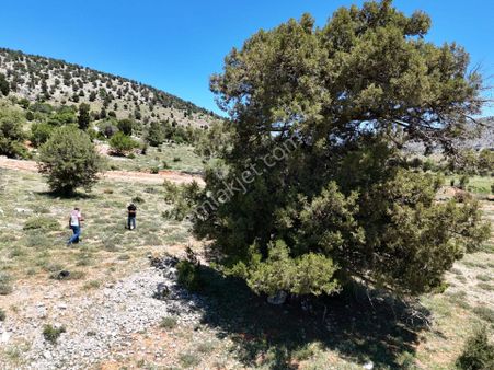 Hayalinizdeki Hobi Bahçesi