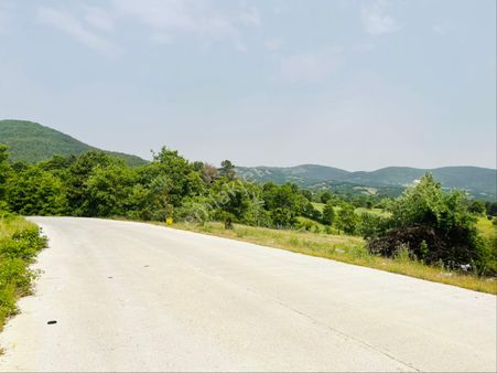 Manzaralı Yol Üstü Satılık Tarla