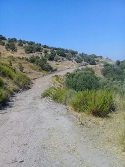 Goldhouse Dan Satılık Arsa Göl Manzaralı İmarlı Müstakil Parsel 834 M2