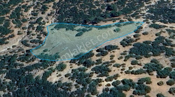 Denizli Beyağaç Kızılcaağaç Mahallesinde Satılık 4986 M² Tarla