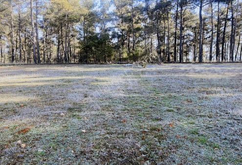 Muğla Menteşe Kuyucak 'ta 1430 M² Satılık Tarla