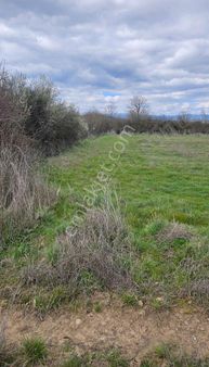 Arya'dan Karabey Köyünde 4100 M2 Biber Ekili Tarla