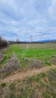 Arya'dan Ahiler Köyünde 3250 M2 Tarım Arazisi