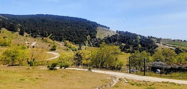 Arya'dan Havran Fazlıcada Köyünde 5200 M2 Tarla