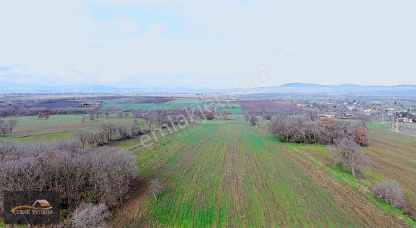 Çanakkale Biga Geyikkırı Satılık 17.700 M2 Muhteşem Tarla