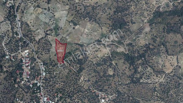 Nazilli Hasköyde Satılık Manzaralı Tarla...