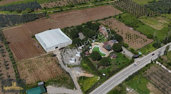 Bursa/orhangazi Satılık Tarla Ve Turizm Ruhsatlı Otel
