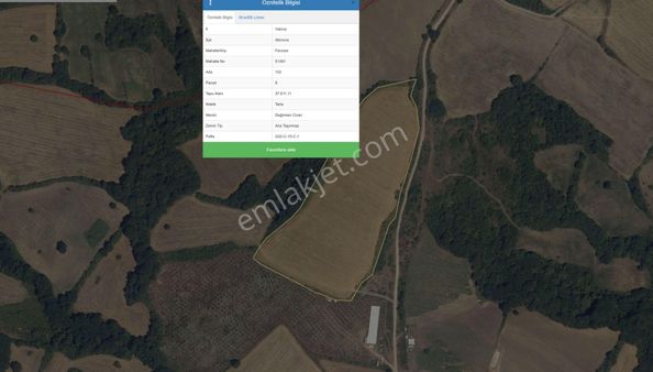 Yalova Altınova Fevziye Köyünde 37.611,11m² Yerleşim İçinde Tarla