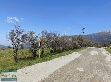 Cankurtaran Milli Park Yolu Ana Yol Üzeri Konumu Ensalsiz Tarla