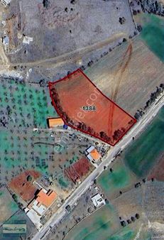 Cankurtaran Milli Park Yolu Üzeri Emsalsiz Tarla Fırsatı