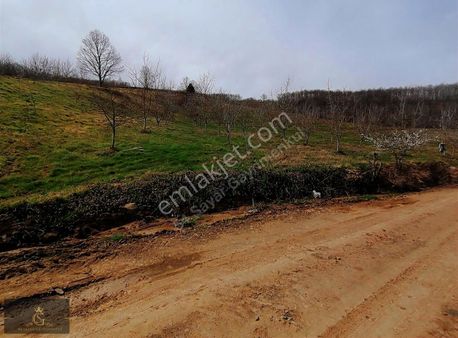 54 Sayar Gayrımenkulden Serdivan Çubuklu'da Satılık İki Parsel