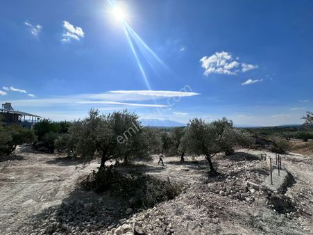 Manisa Sarıçam Köy İçi 456 M2 3 Kat Villa İmarlı Arsa 2.000.000