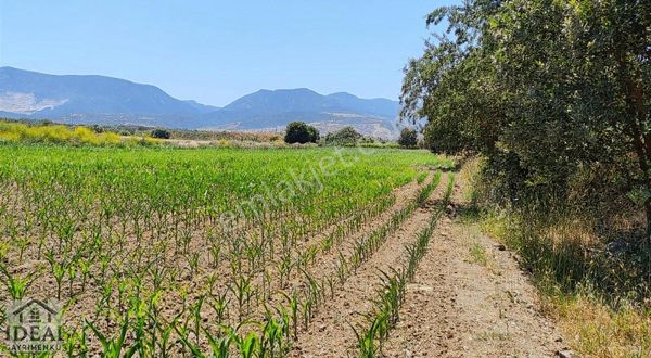 Manisa Yağcılar İmara Açılacak Bölgede 2 Tapu 12.740 M2 13500000