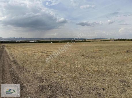 Gerder Kupon Tarla Hisseler İçin Güncel Bilgi-fiyat-hızlı Çözüm