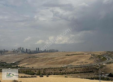 -karataş Kupon Tarla Hisseler İçin Güncel Bilgi Fiyat Ve Çözüm-