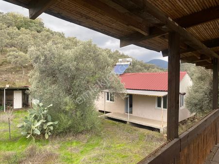 Bodrum Milas İzmir Karayoluna Cepheli Fırsat Arsa