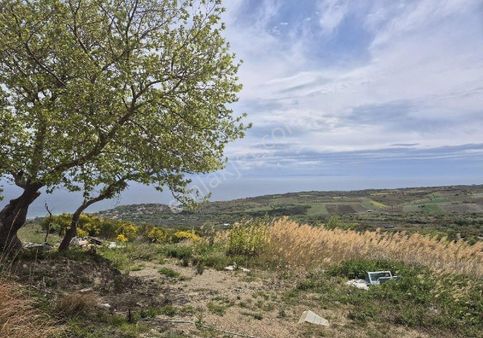 Bilge Emlak'tan Şarköy Gazi Köy'de Harika Bir Konumda Panoramik Deniz Manzarasına Sahip Bahçe