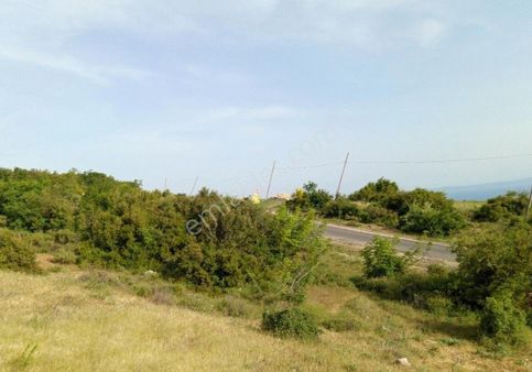 Bilge Emlak'tan Şarköy Tepeköy'de Full Deniz Manzaralı Asfaltepeli 3350 Metre Tarla Elektrik Hemen Y